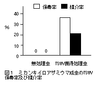 図1 ミカンキイロアザミウマ成虫のTSWV保毒率及び媒介率