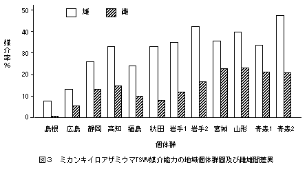 図3 ミカンキイロアザミウマTSWV媒介能力の地域個体群間及び雌雄間差異