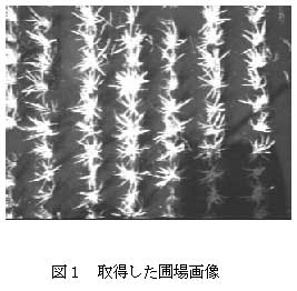図1 取得した圃場画像
