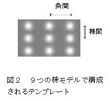 図2 9 つの株モデルで構成されるテンプレート