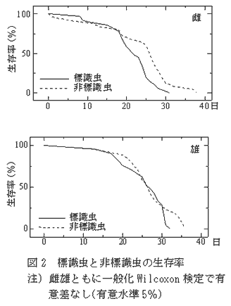 図2 標識虫と非標識虫の生存率