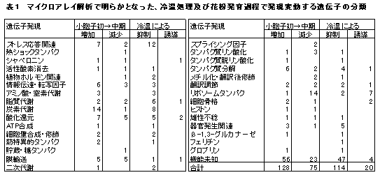 表1.マイクロアレイ解析で明らかになった、冷温処理及び花粉発芽発育過程で発現変動する遺伝子の分類