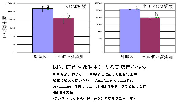 図3. 菌食性繊毛虫による菌密度の減少.