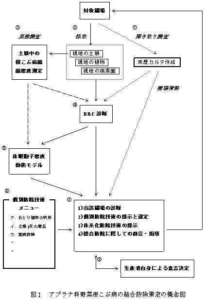 図1 アブラナ科野菜根こぶ病の総合防除策定の概念図