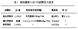 表1 現地圃場における試験区の設定