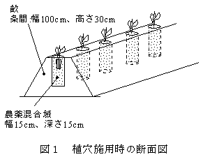 図1 植穴施用時の断面図