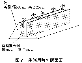 図2 条施用時の断面図