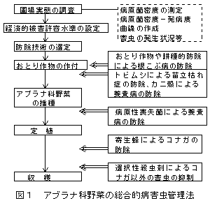 図1 アブラナ科野菜の総合的病害虫管理法