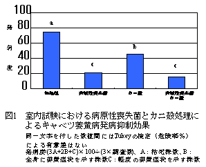 図1 室内試験における病原性喪失菌とカニ殻処理によるキャベツ萎黄病発病抑制効果