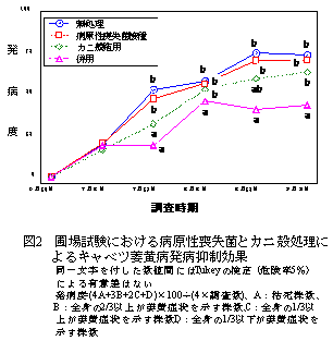 図2 圃場試験における病原性喪失菌とカニ殻処理によるキャベツ萎黄病発病抑制効果