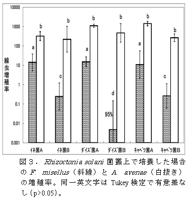 図3 .Rhizoctonia solani 菌叢上で培養した場合のF. misellus ( 斜線) とA. avenae ( 白抜き)の増殖率。