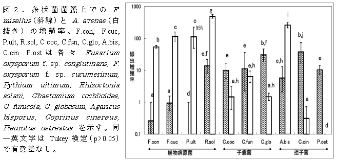 図2 . 糸状菌菌叢上でのF. misellus( 斜線)とA. avenae( 白 抜き) の増殖率。