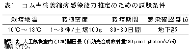 表1 コムギ縞萎縮病感染能力推定のための試験条件