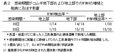 表2 感染期間がコムギ地下部および地上部でのWYMVの増殖と発病に及ぼす影響