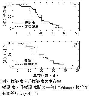 図3 標識虫と非標識虫の生存率