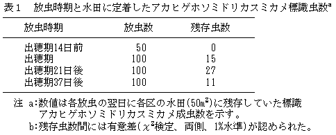 表1 放虫時期と水田に定着したアカヒゲホソミドリカスミカメ標識虫数