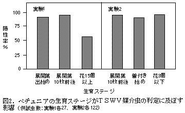 図2.ペチュニアの生育ステージがTSWV媒介虫の判定に及ぼす 影響