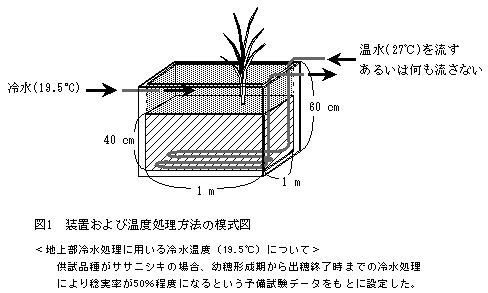 図1 装置および温度処理方法の模式図