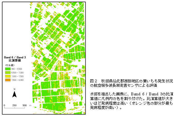 図2 秋田県仙北郡西部地区の葉いもち発生状況 の航空機多波長域走査センサによる評価