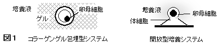 図1.コラーゲンゲル包埋型システム