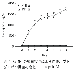 図1.rbTNFの連日投与による血漿ハプトグロビン濃度の変化