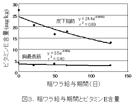 図3.稲ワラ給与期間とビタミンE含量