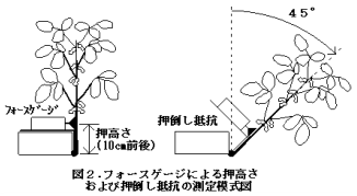 図2.フォースゲージによる押高さおよび押倒し抵抗の測定模式図