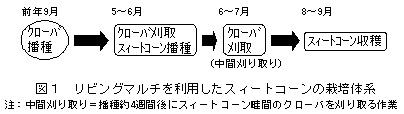 図1 リビングマルチを利用したスィートコーンの栽培体系
