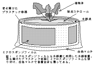 図1 ミクロスポンジフィルムを水耕漕に利用した水耕装置。