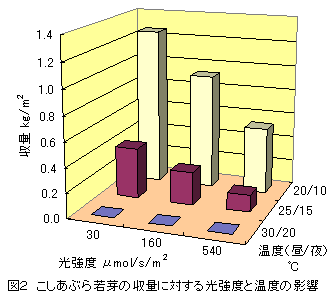 図2 こしあぶら若芽の収量に対する光強度と温度の影響