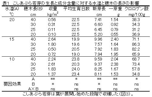 表1 こしあぶら若芽の生長と成分含量に対する水温と穂木の長さの影響