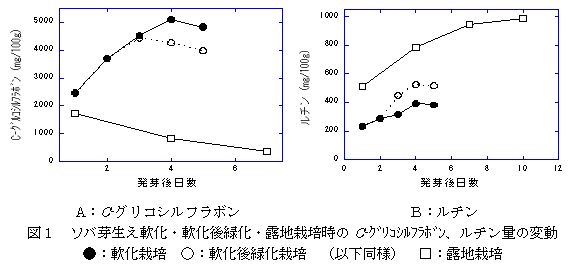 図1 ソバ芽生え軟化・軟化後緑化・露地栽培時のC-グリコシルフラボン、ルチン量の変動