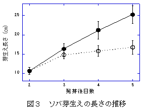 図3 ソバ芽生えの長さの推移