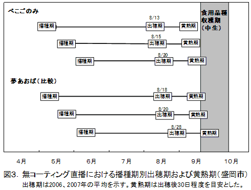 図3.無コーティング直播における播種期別出穂期および黄熟期(盛岡市)