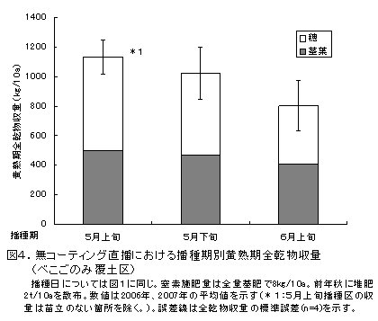 図4.無コーティング直播における播種期別黄熟期全乾物収量(べこごのみ覆土区)