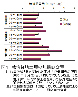 図1 栽培跡地土壌の無機態窒素