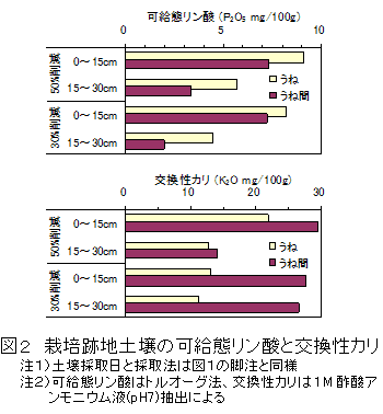 図2 栽培跡地土壌の可給態リン酸と交換性カリ