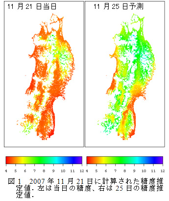 図1 2007年11月21日に計算された糖度推定値.