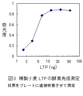 図3 精製小麦LTPの酵素免疫測定