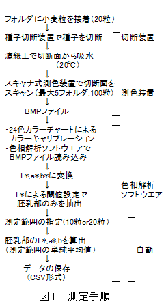 図1 測定手順