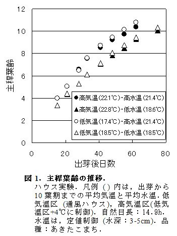 図1.主稈葉齢の推移.