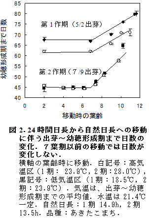 図2.24時間日長から自然日長への移動に伴う出芽~幼穂形成期まで日数の変化.