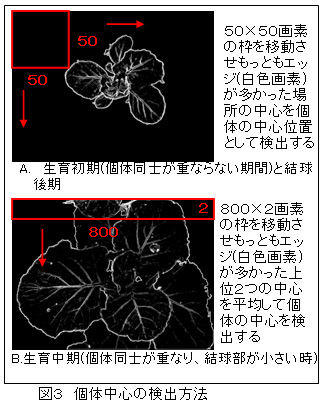 図3 個体中心の検出方法