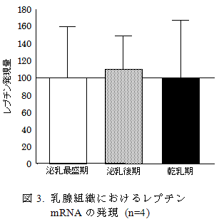 図3. 乳腺組織におけるレプチンmRNAの発現