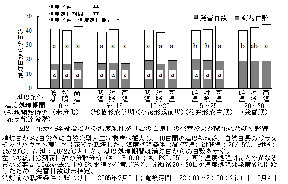 図2 花芽発達段階ごとの温度条件が「岩の白扇」の発蕾および開花に及ぼす影響