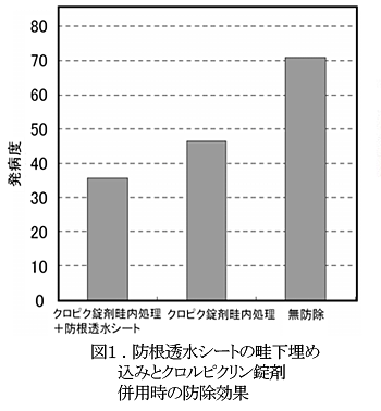 図1 防根透水シートの畦下埋め込みとクロルピクリン錠剤併用時の防除効果