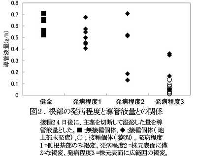 図2 根部の発病程度と導管液量との関係