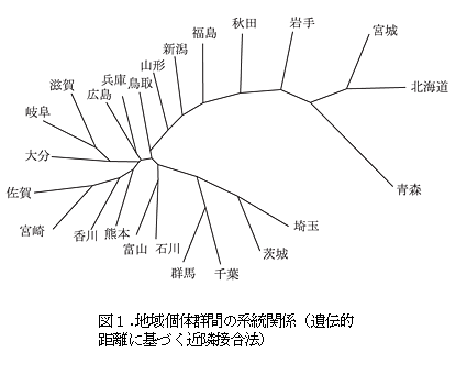 図1.地域個体群間の系統関係(遺伝的距離に基づく近隣接合法)