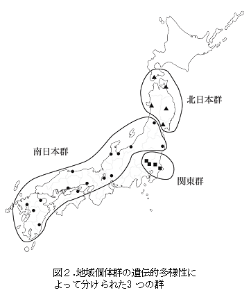 図2.地域個体群の遺伝的多様性によって分けられた3つの群