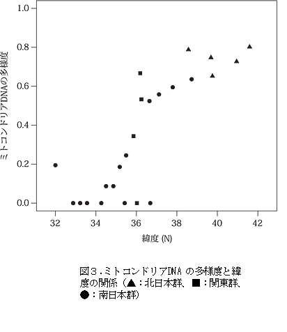 図3.ミトコンドリアDNAの多様度と緯度の関係(▲:北日本群、■:関東群、●:南日本群)